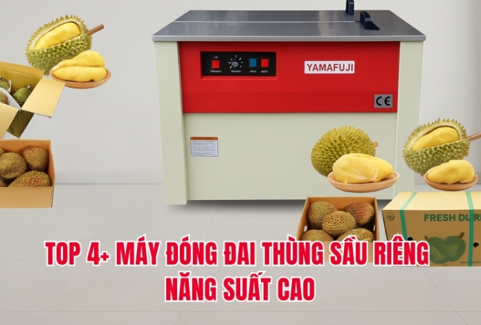 TOP 4+ máy đóng đai thùng sầu riêng năng suất cao
