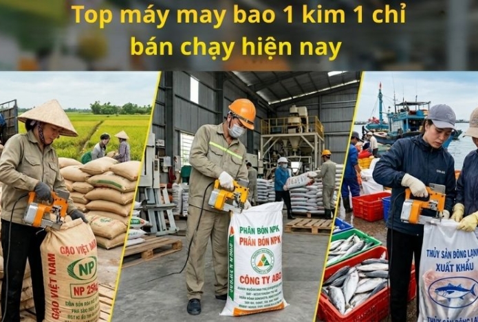 Hình ảnh Top máy may bao 1 kim 1 chỉ bán chạy hiện nay