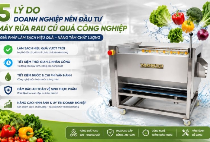 5 Lý do doanh nghiệp nên đầu tư máy rửa rau củ quả công nghiệp
