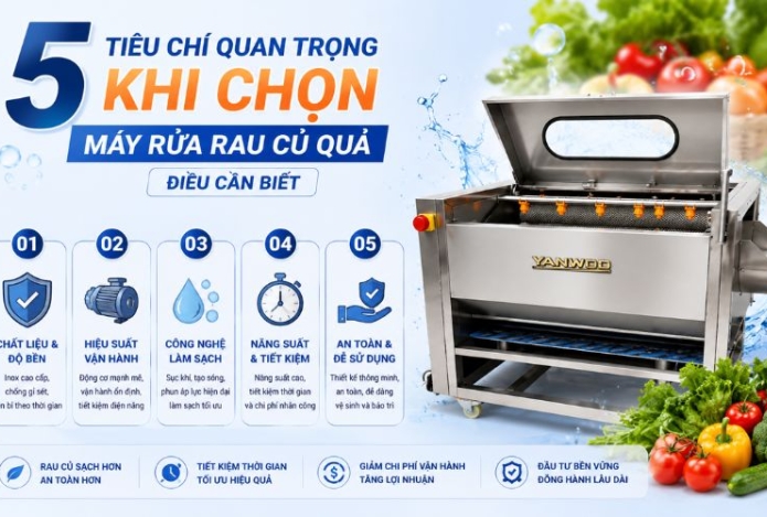5 Tiêu chí quan trọng khi chọn máy rửa rau củ quả - Điều cần biết