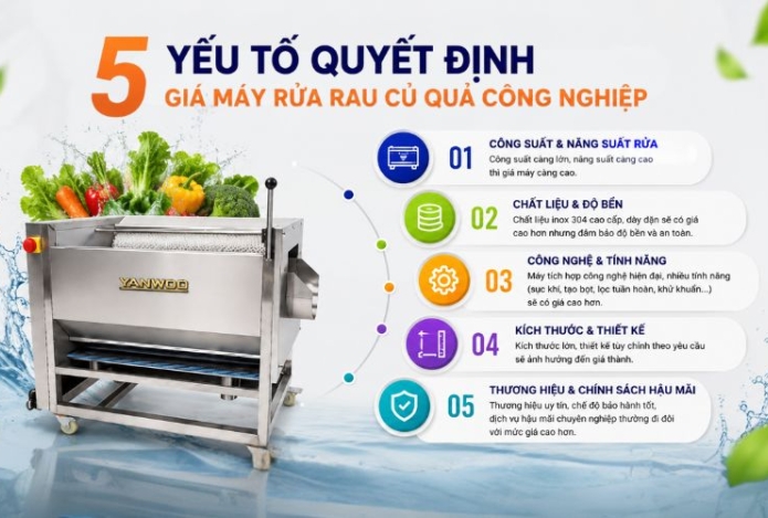 5 Yếu tố quyết định giá máy rửa rau củ quả công nghiệp