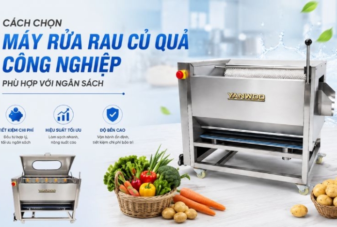 Cách chọn máy rửa rau củ quả công nghiệp phù hợp với ngân sách