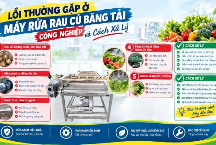 Lỗi thường gặp ở máy rửa rau củ băng tải công nghiệp và cách xử lý