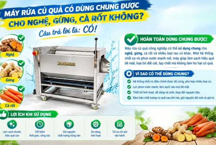 Máy rửa củ quả có dùng chung cho nghệ, gừng, cà rốt không
