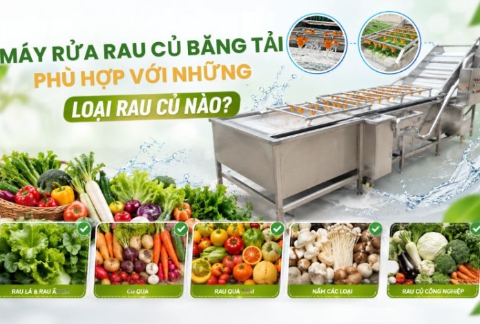 Máy rửa rau củ băng tải phù hợp với những loại rau củ nào?
