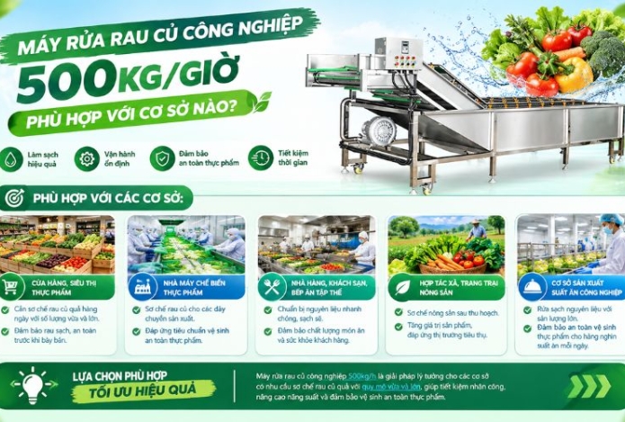 Máy rửa rau củ công nghiệp 500kg/giờ phù hợp với cơ sở nào
