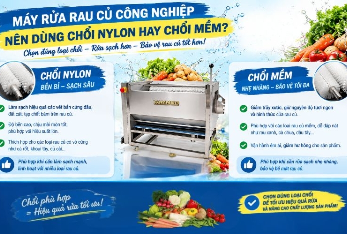 Máy rửa rau củ công nghiệp nên dùng chổi nylon hay chổi mềm