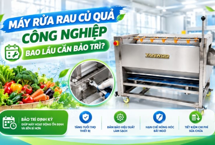 Máy rửa rau củ quả công nghiệp bao lâu cần bảo trì?