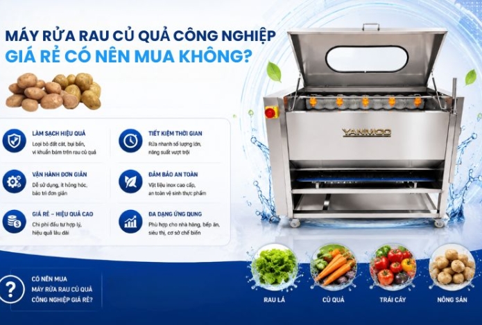 Máy rửa rau củ quả công nghiệp giá rẻ có nên mua không?