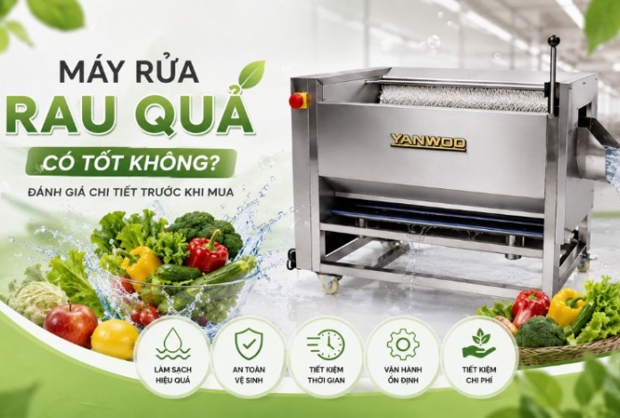 Hình ảnh Máy rửa rau quả có tốt không? Đánh giá chi tiết trước khi mua