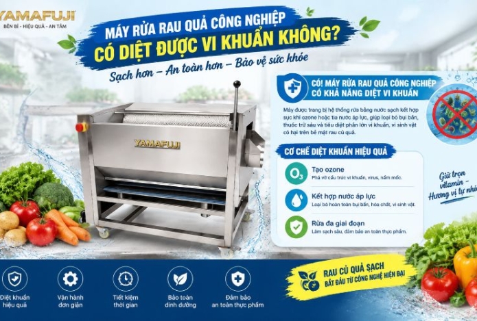Máy rửa rau quả công nghiệp có diệt được vi khuẩn không