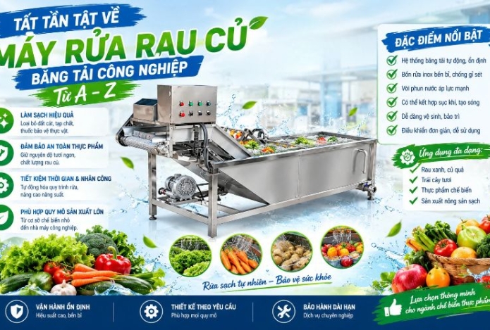 Tất tần tật về máy rửa rau củ băng tải công nghiệp từ A-Z