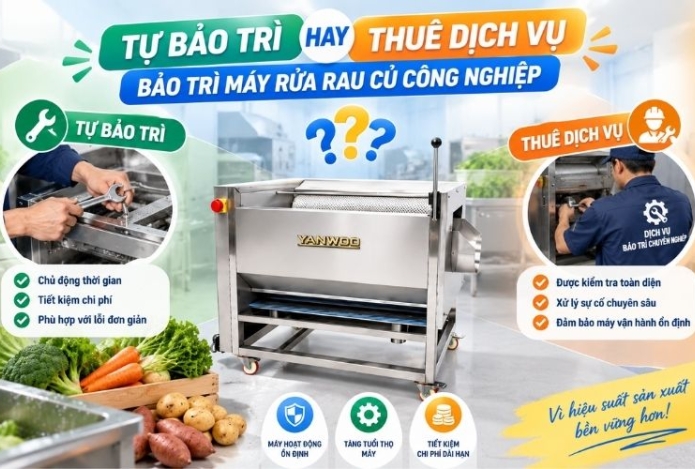 Tự bảo trì hay thuê dịch vụ bảo trì máy rửa rau củ công nghiệp