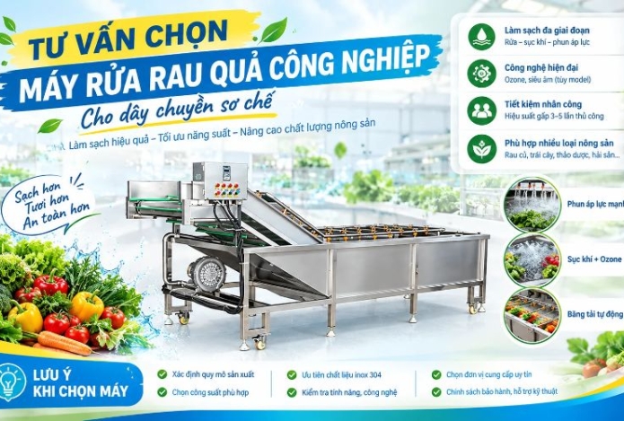 Tư vấn chọn máy rửa rau quả công nghiệp cho dây chuyền sơ chế