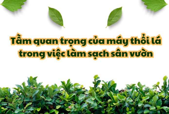 Hình ảnh Tầm quan trọng của máy thổi lá trong việc làm sạch sân vườn