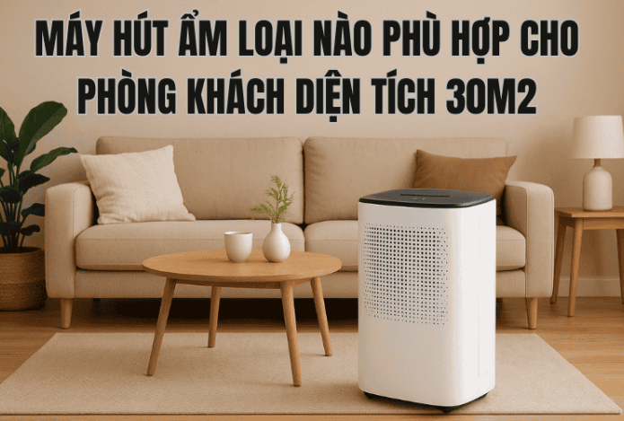 Máy Hút Ẩm Loại Nào Phù Hợp Cho Phòng Khách Diện Tích 30m2