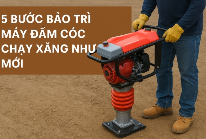 Hình ảnh 5 bước bảo trì máy đầm cóc chạy xăng như mới - không cần thợ