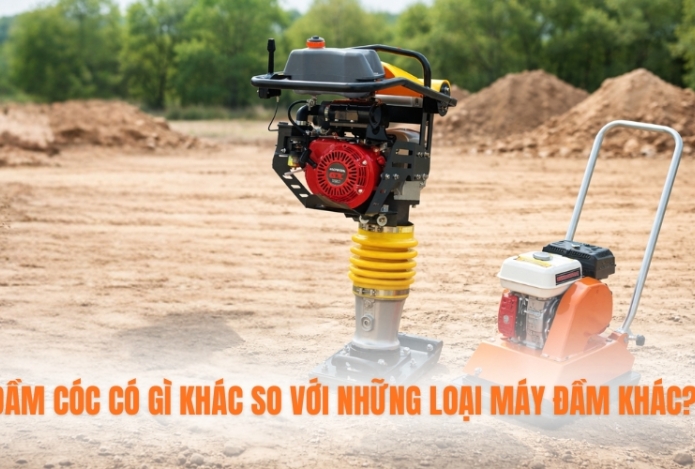 Hình ảnh Đầm cóc có gì khác so với những loại máy đầm khác?