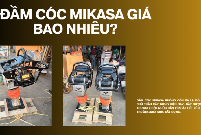 Hình ảnh Đầm cóc Mikasa giá bao nhiêu?