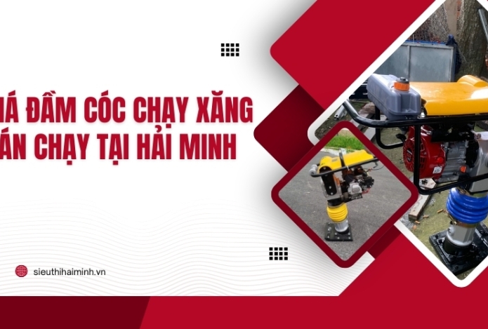 Hình ảnh [Tiết lộ] Giá đầm cóc chạy xăng bán chạy tại Hải Minh