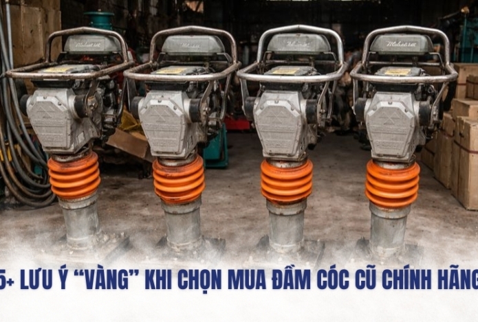 Hình ảnh 5+ Lưu ý “vàng” khi chọn mua đầm cóc cũ chính hãng