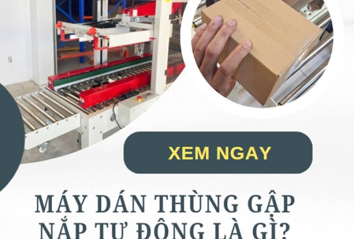 Máy dán thùng gập nắp tự động là gì? model nên mua