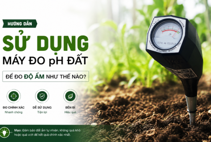 Hình ảnh Sử Dụng Máy Đo pH Đất Để Đo Độ Ẩm Như Thế Nào