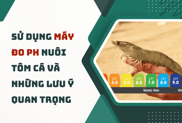 Hình ảnh Sử Dụng Máy Đo PH Nuôi Tôm Cá Và Những Lưu Ý Quan Trọng