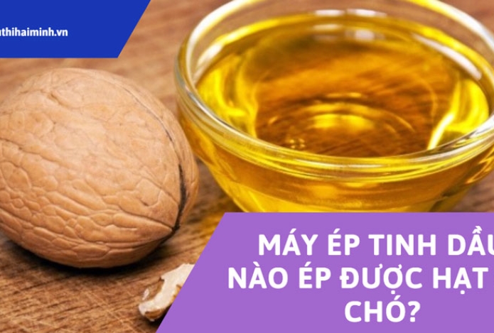 Hình ảnh Máy ép tinh dầu nào ép được hạt óc chó?