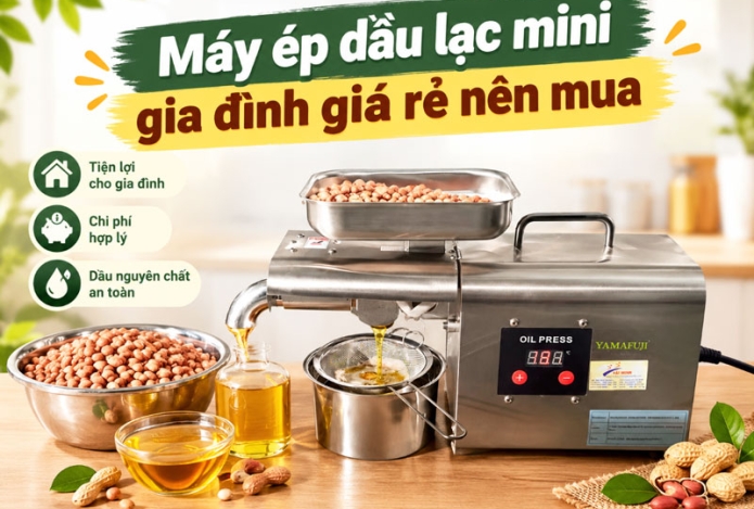 Máy ép dầu lạc mini gia đình giá rẻ nên mua