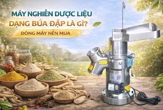 Máy nghiền dược liệu dạng búa đập là gì? Dòng máy nên mua
