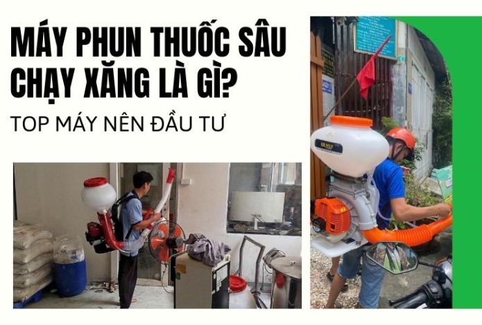 Máy phun thuốc sâu chạy xăng là gì? Top máy nên đầu tư