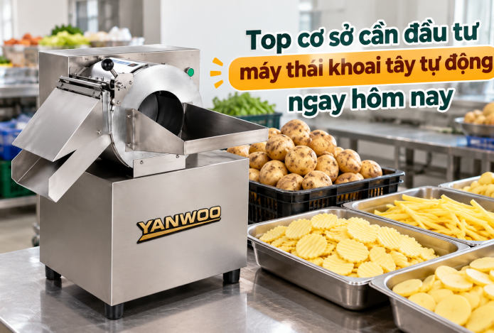 Top cơ sở cần đầu tư máy thái khoai tây tự động ngay hôm nay
