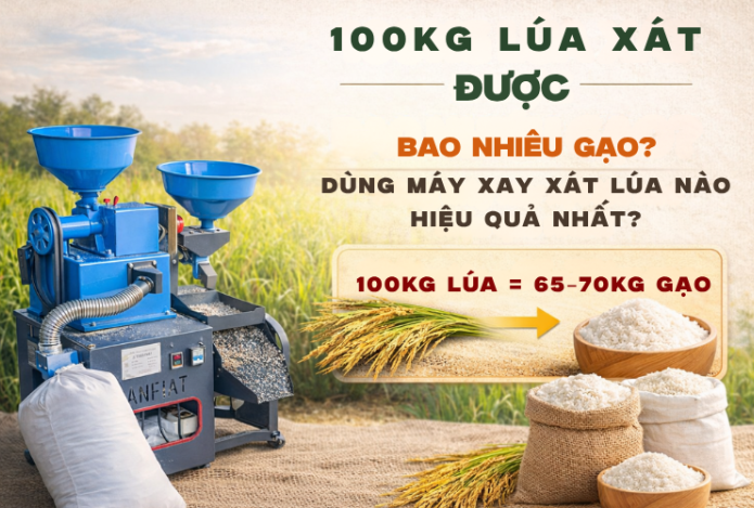 100 Kg Lúa Xát Được Bao Nhiêu Gạo? Dùng Máy Xay Xát Lúa Nào?