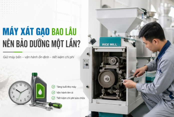 Máy Xát Gạo Bao Lâu Nên Bảo Dưỡng Một Lần?