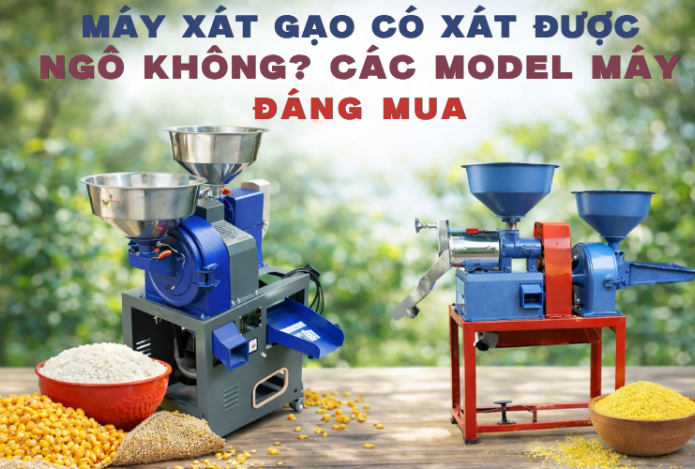 Máy xát gạo có xát được ngô không? Các model máy đáng mua