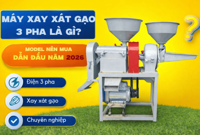 Hình ảnh Máy Xay Xát Gạo 3 Pha Là Gì? Model Nên Mua Dẫn Đầu Năm 2026