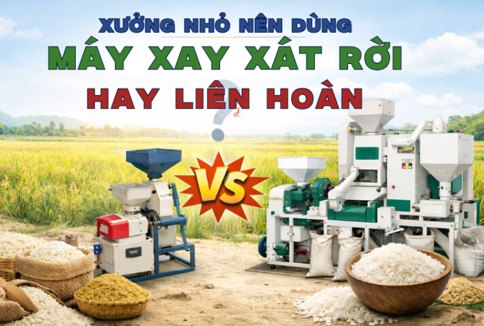 Xưởng Nhỏ Nên Dùng Máy Xay Xát Rời Hay Liên Hoàn?