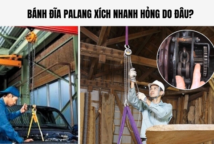 Hình ảnh Bánh đĩa palang xích nhanh hỏng do đâu?