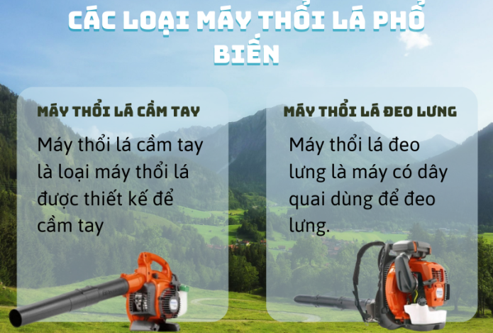 Hình ảnh Các loại máy thổi lá phổ biến trên thị trường và ưu điểm của từng loại