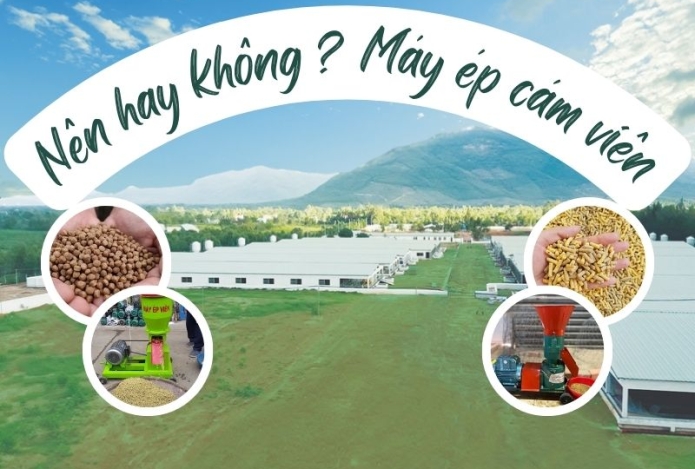 Hình ảnh Đầu tư máy ép cám viên ? Nên hay không?