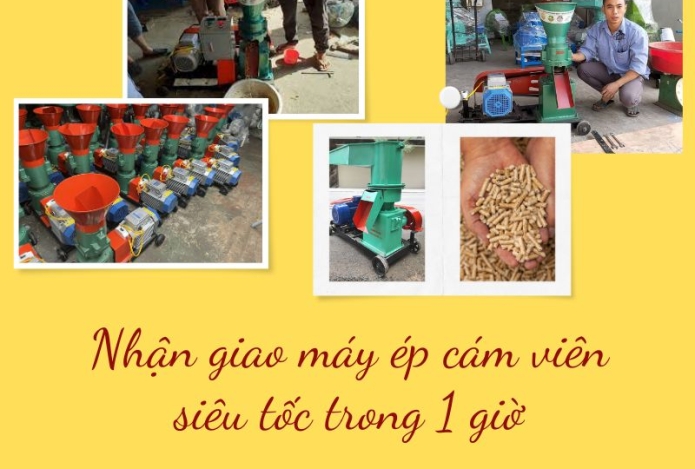 Giao cấp tốc máy ép cám viên sau 1 giờ đặt hàng