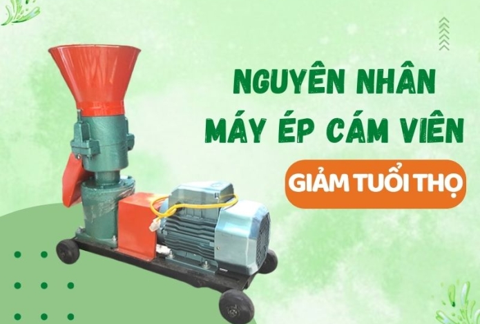 Hình ảnh Nguyên nhân khiến máy ép cám viên giảm tuổi thọ?