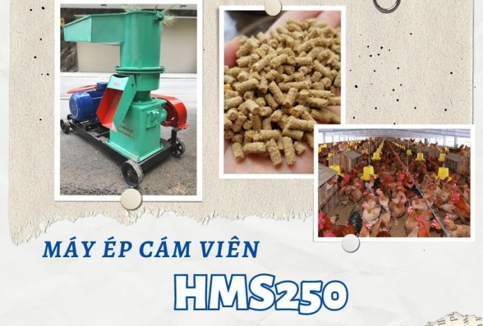 Hình ảnh Sử dụng máy ép cám viên HMS250 cho trang trại gà