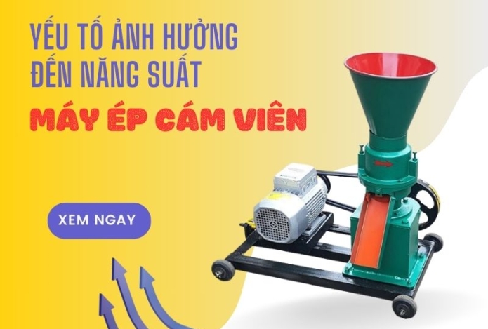 Hình ảnh Yếu tố nào ảnh hưởng đến năng suất của máy ép cám viên?
