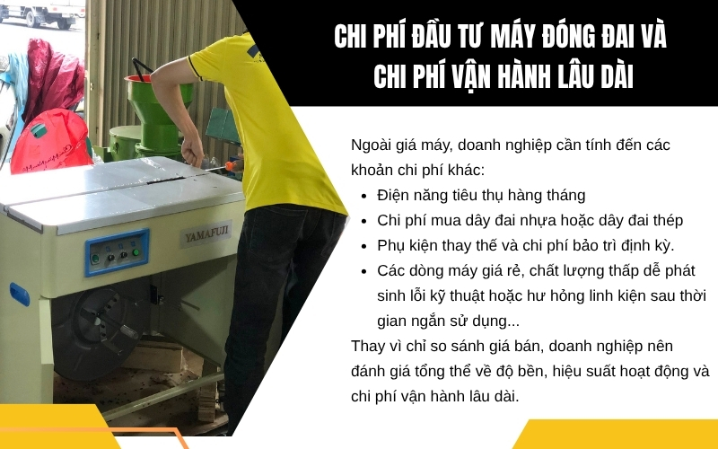 Chi phí đầu tư máy đóng đai và chi phí vận hành lâu dài