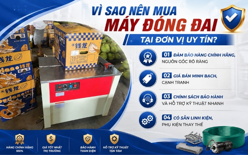 Vì sao nên mua máy đóng đai tại đơn vị uy tín