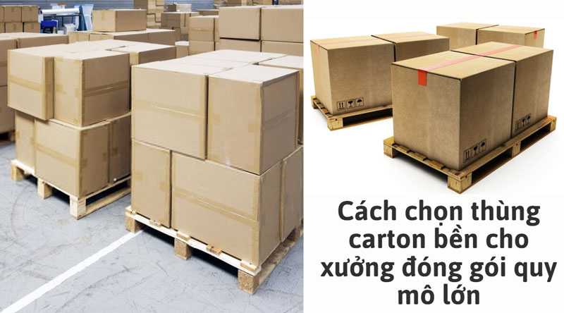Cách chọn thùng carton bền cho xưởng đóng gói quy mô lớn
