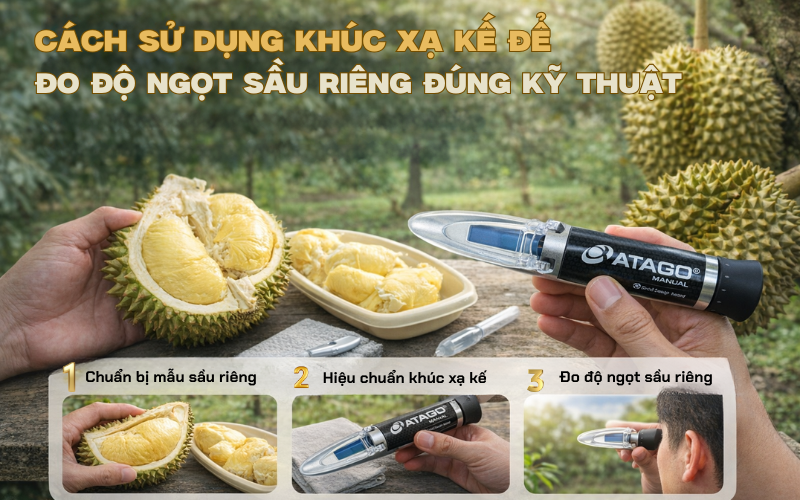 Cách sử dụng khúc xạ kế để đo độ ngọt sầu riêng đúng kỹ thuật