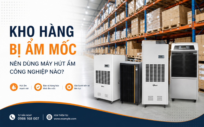 Kho hàng bị ẩm mốc nên dùng máy hút ẩm công nghiệp nào?